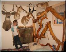 Kid, critters, bed